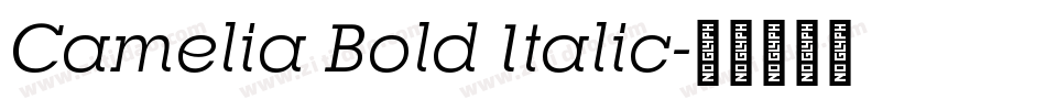 Camelia Bold Italic字体转换